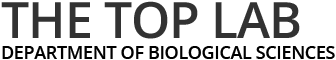 Eva Top Lab Website Logo
